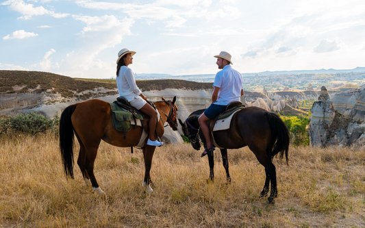"Beyond the Stables: How Horse Accessories Enhance Your Style"